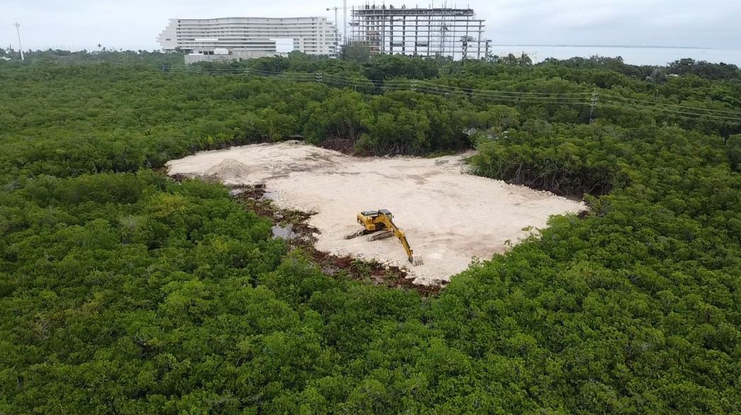 Clausuran obra ilegal en área natural protegida de Cancún