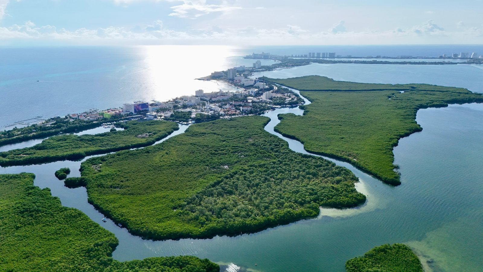 Promueve Ana Paty Peralta un Cancún ecológico