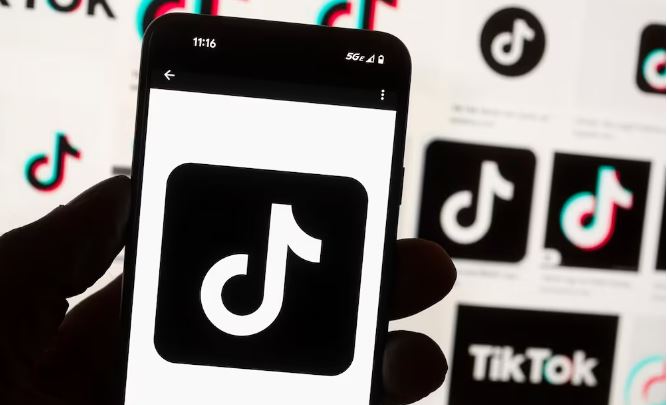 TikTok: 7 países en donde está prohibida la aplicación