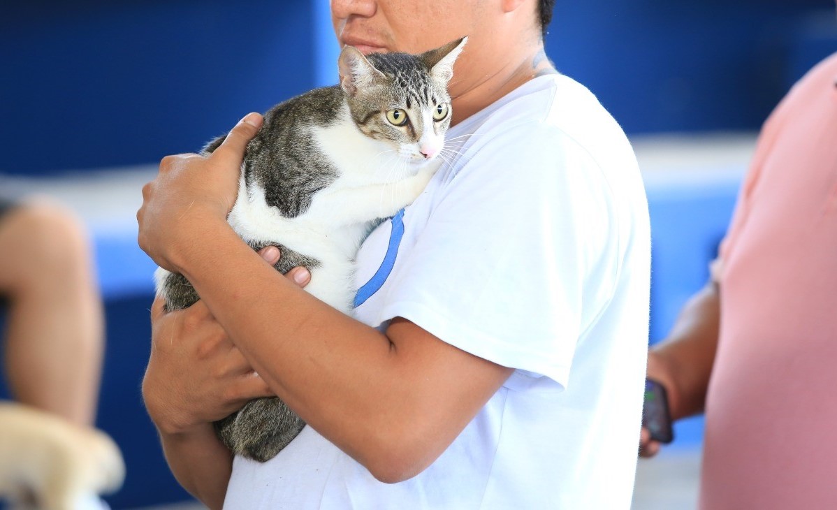 Con campaña de vacunación animal se refuerza la prevención de la Zoonosis en Playa del Carmen