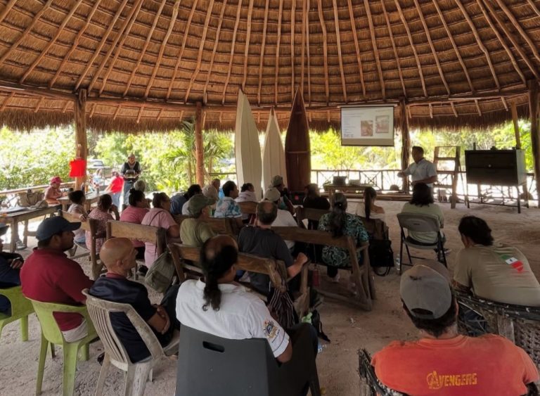 Capacitan a apicultores de Solidaridad para mejorar la producción y calidad de la miel con fines de exportación