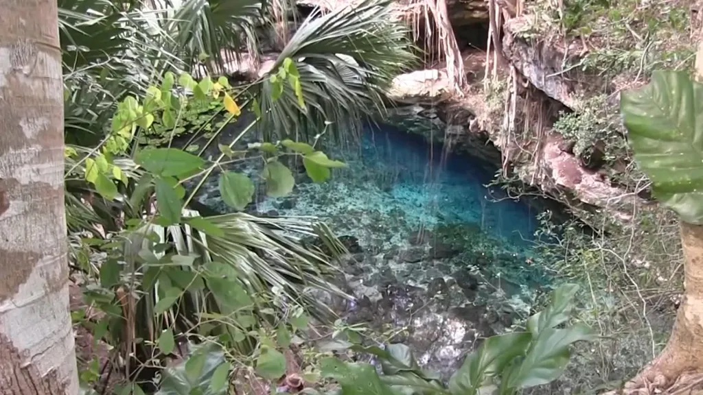 Encuentran restos óseos extintos en cenote de Yucatán