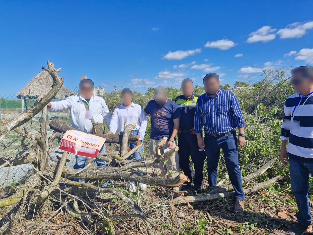 Realiza Profepa operativos para frenar la tala de mangle en Sisal