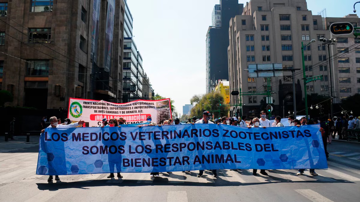 Veterinarios piden protección por amenazas en CDMX 