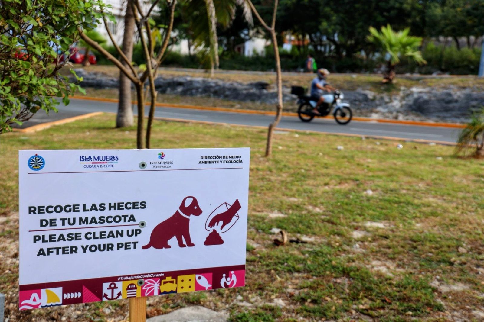 Impulsa Gobierno de Isla Mujeres campaña de concientización sobre la tenencia responsable de mascotas