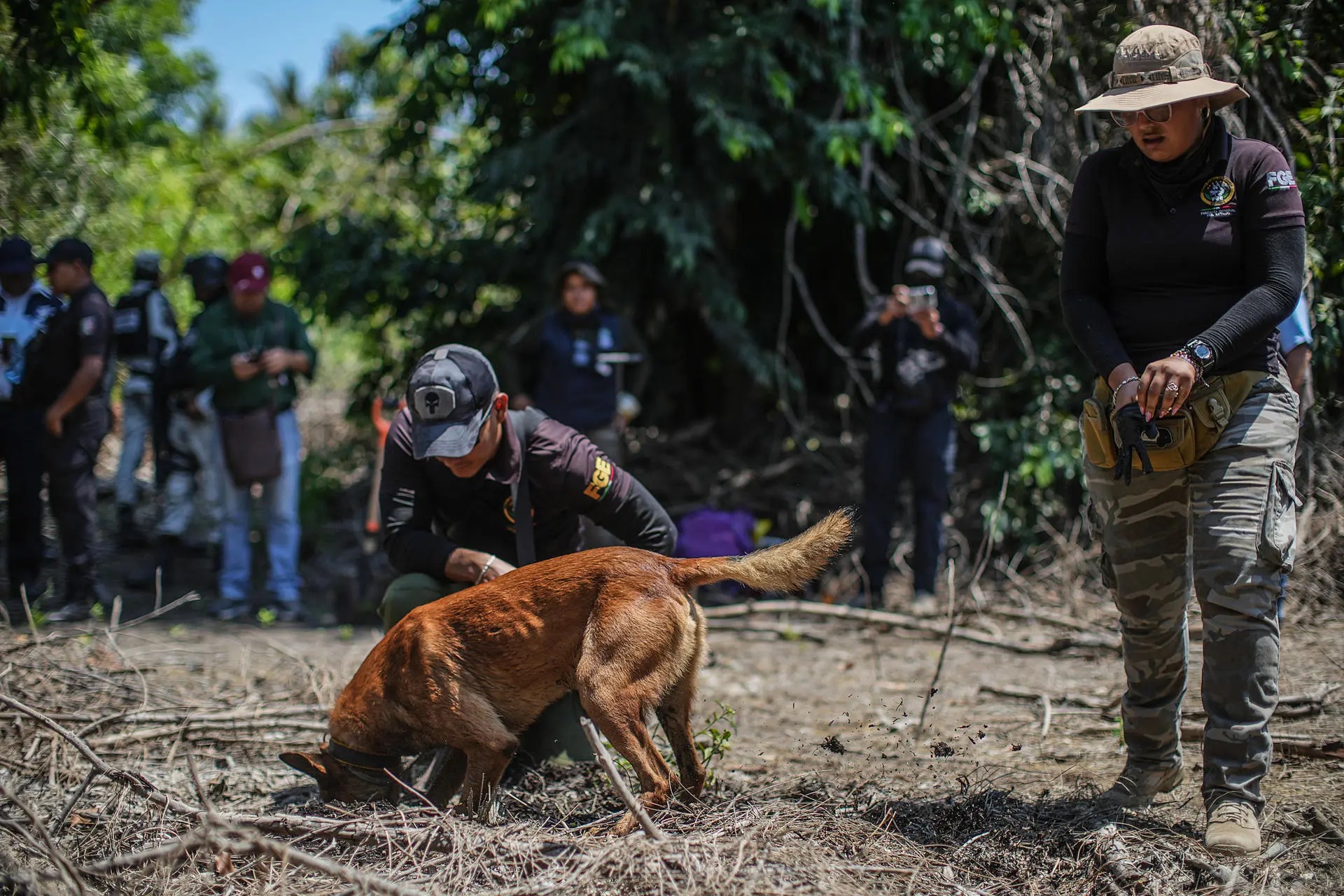 Madres buscadoras en México piden usar fuerza del Estado