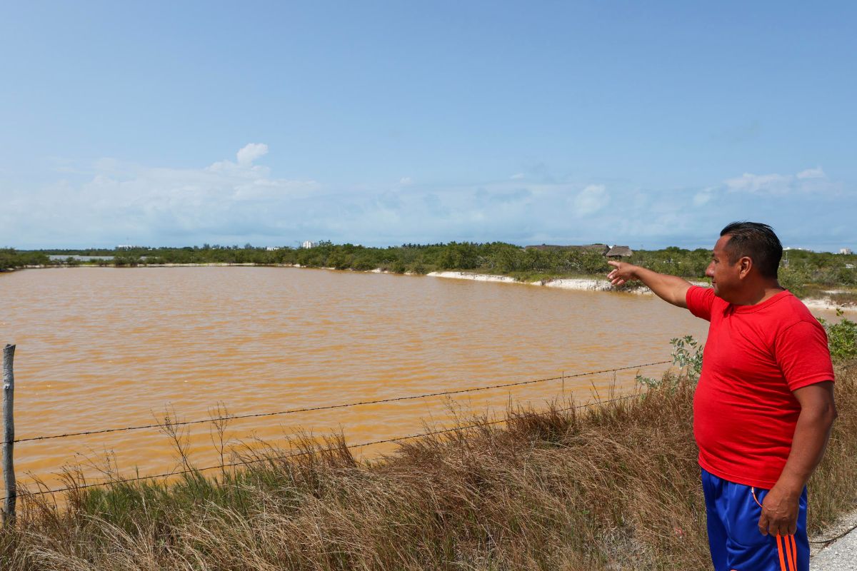 Denuncian que planta de agua potable pone en peligro a manglares