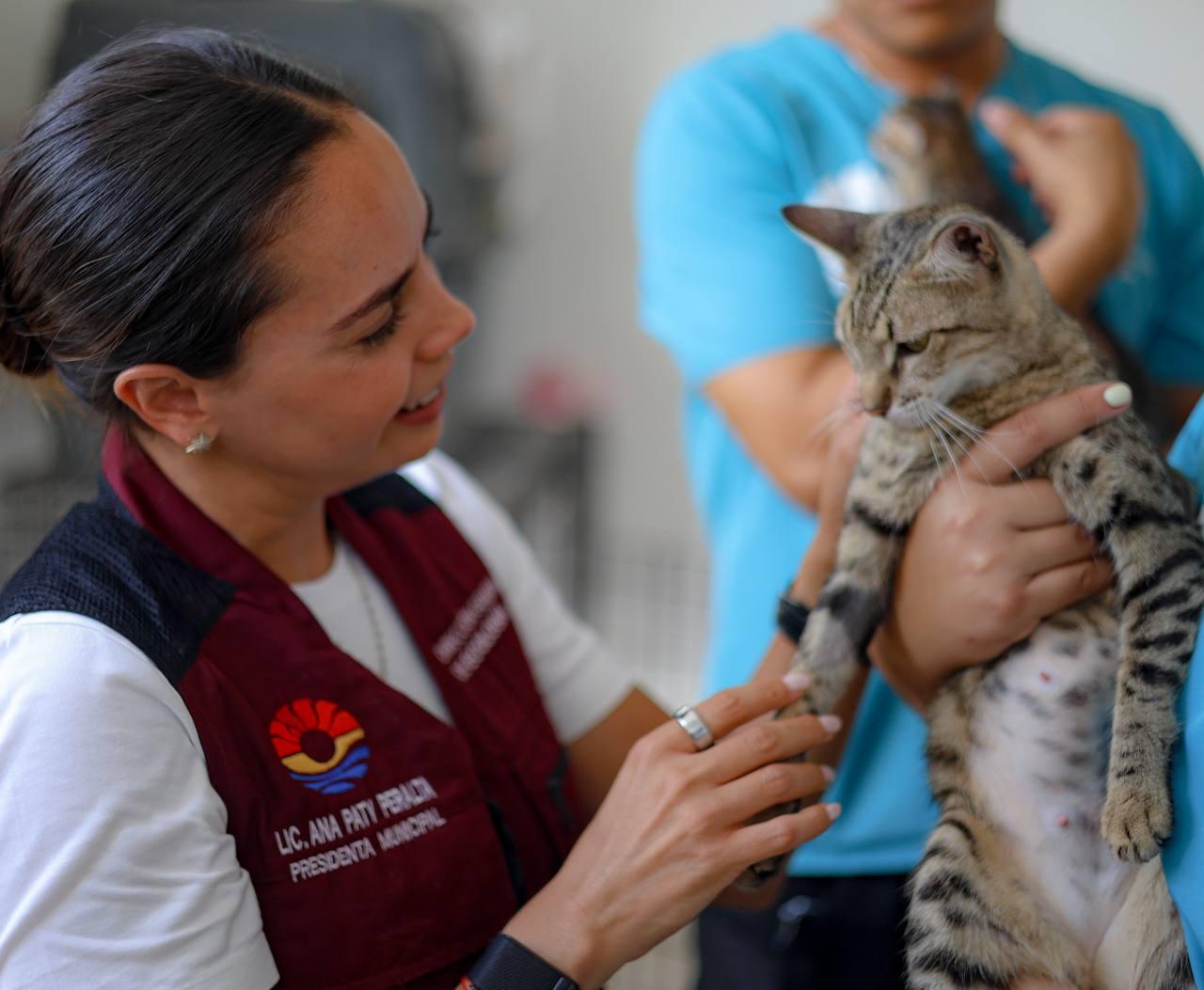 Mantenemos acciones permanentes para combatir maltrato de mascotas: Ana Paty Peralta