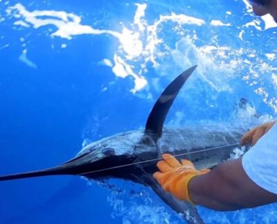 La pasión por el mar regresa a Isla Mujeres con el Torneo Internacional de Pesca “Cosme Alberto Martínez Magaña”