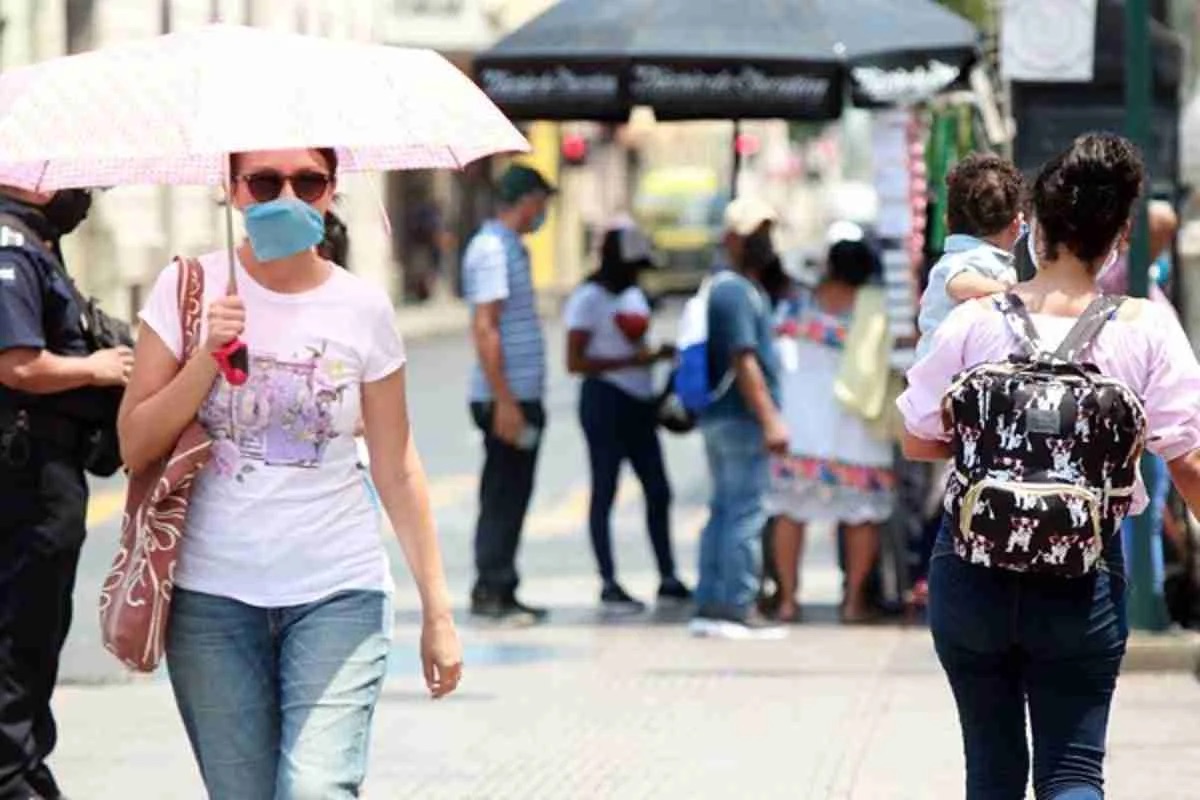 Muere una yegua por golpe de calor en Yucatán
