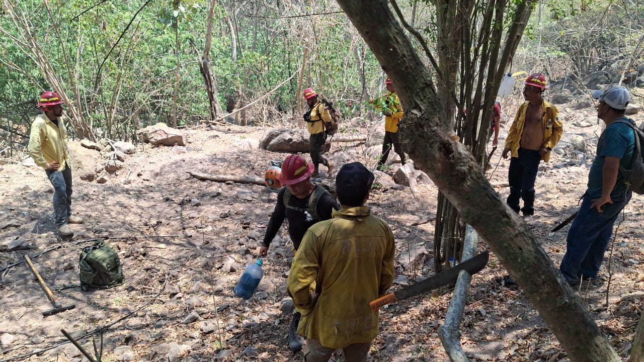 Concluyen labores de extinción en incendio forestal de Puerto Vallarta
