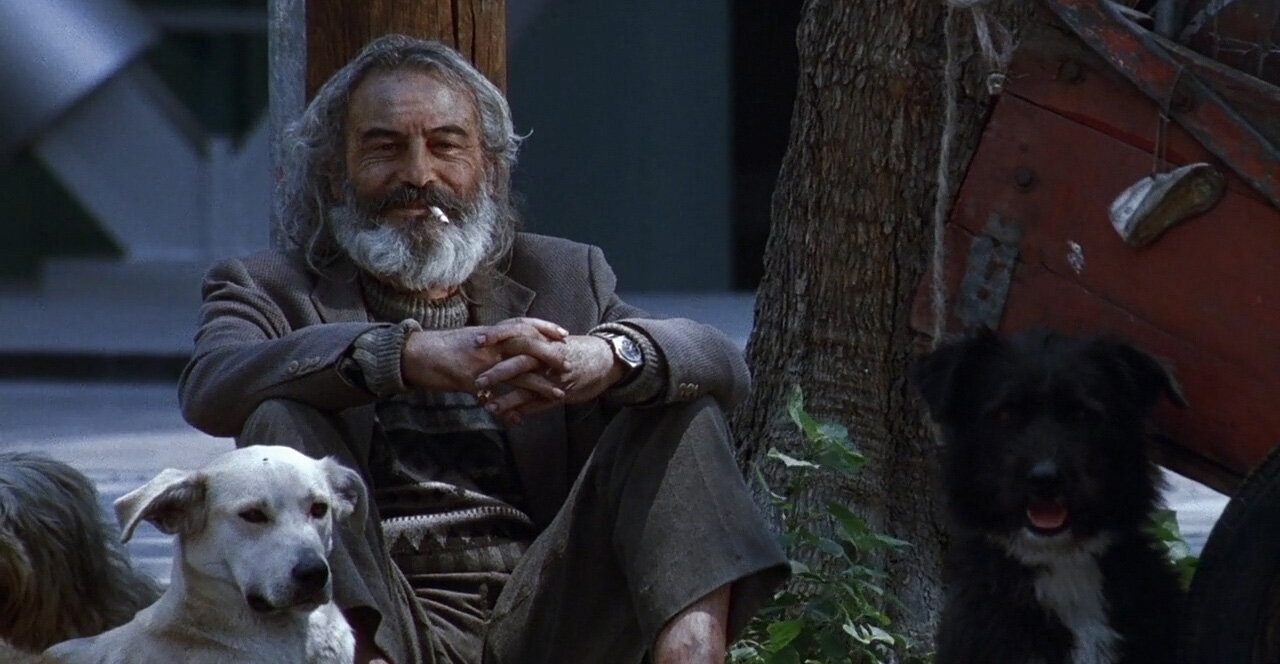 Amores perros vuelve a triunfar en Cannes