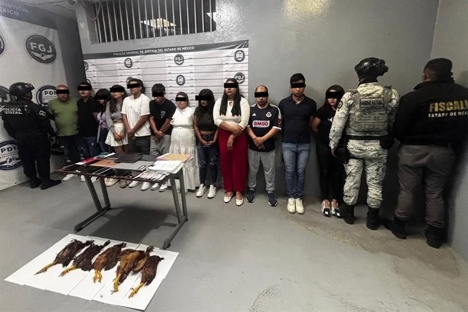 Operación Restitución: Detienen a 12 personas y recuperan 17 predios invadidos en Ecatepec