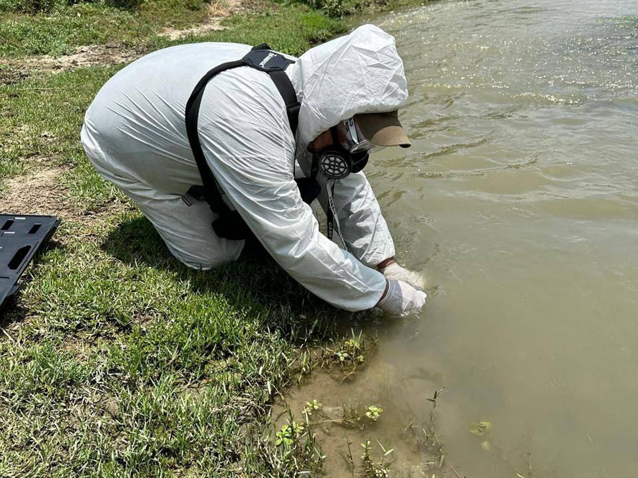 División Ambiental realiza indagatorias para detectar origen de peces muertos en Río Pesquería